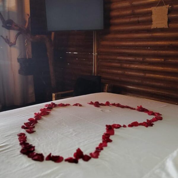 IMG-20250208-WA0006-2