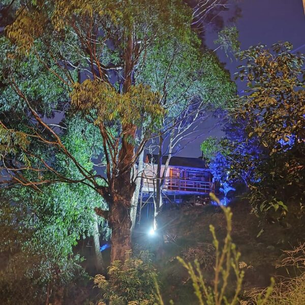 IMG-20250208-WA0011-3