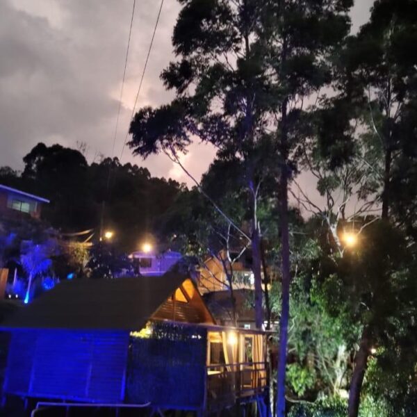 IMG-20250208-WA0012-2