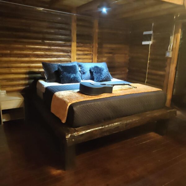 IMG-20250208-WA0013-2