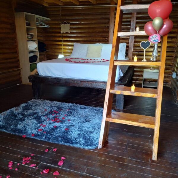 IMG-20250208-WA0015-2