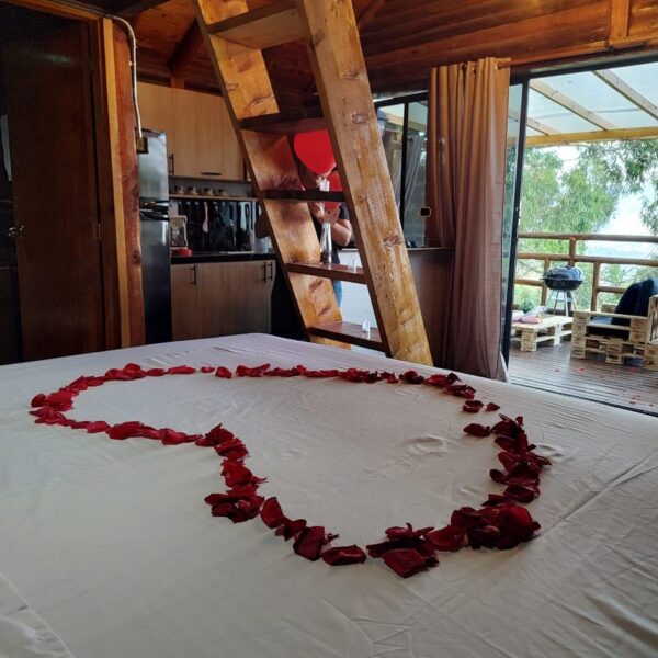 IMG-20250208-WA0018-2