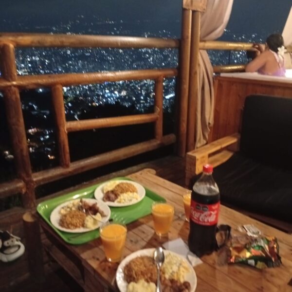 cfc3807a-32c9-4df1-a722-46f02f10dc6e-1